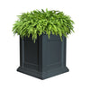 Planted Modern Colonial Planter