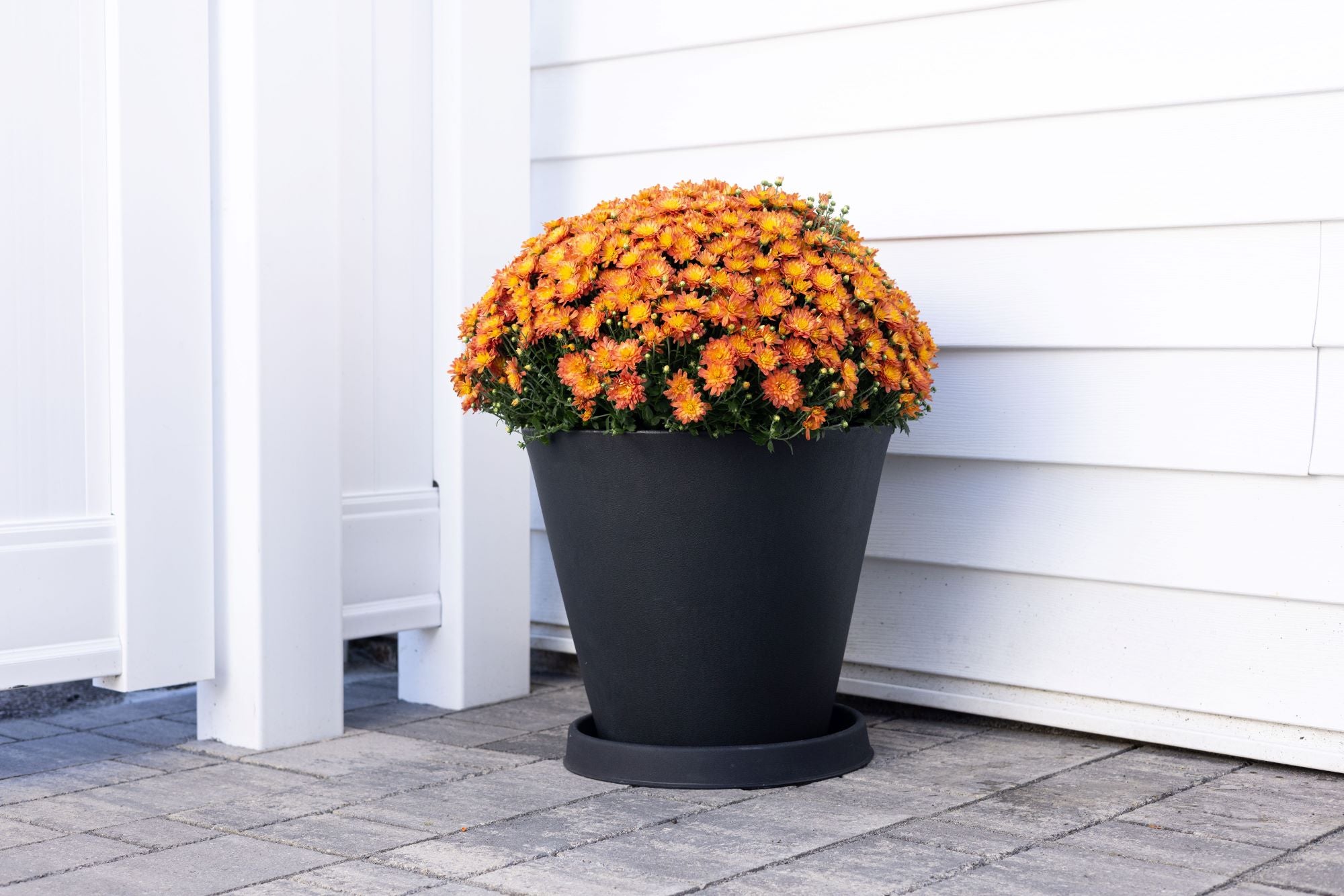 Why Tusco Products are the Perfect Planter Solution