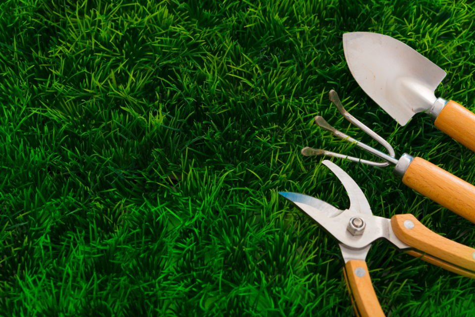 gardening tools laying on grass