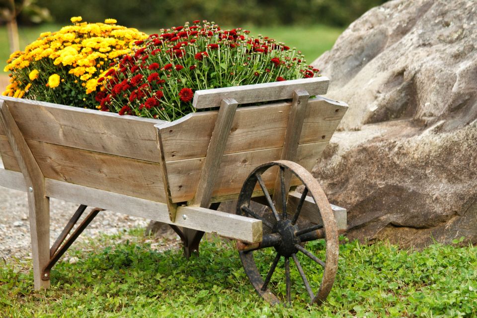 Fall in Love with Your Garden Again