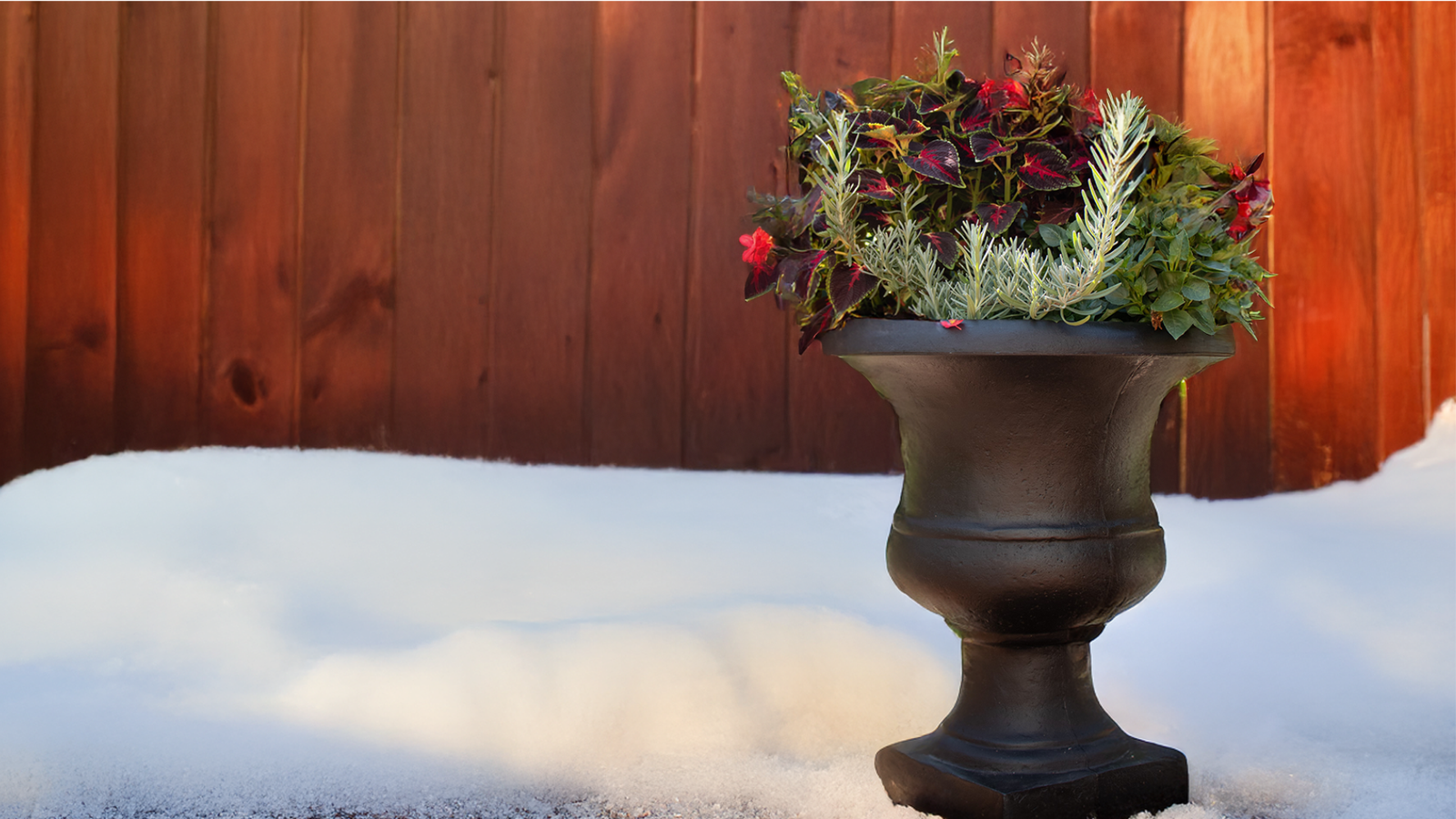 Stylish Ways to Display Indoor Plants During Winter