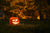 Turn Your Garden into a Spooky Garden
