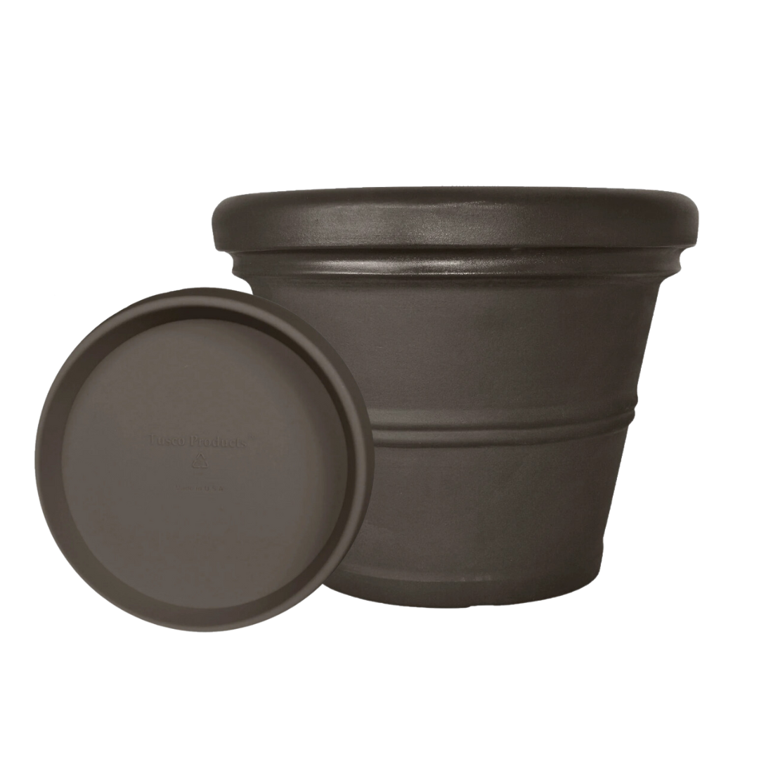 24.5&quot; Rolled Rim and Tray