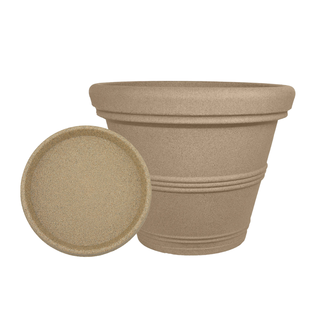 24.5&quot; Rolled Rim and Tray