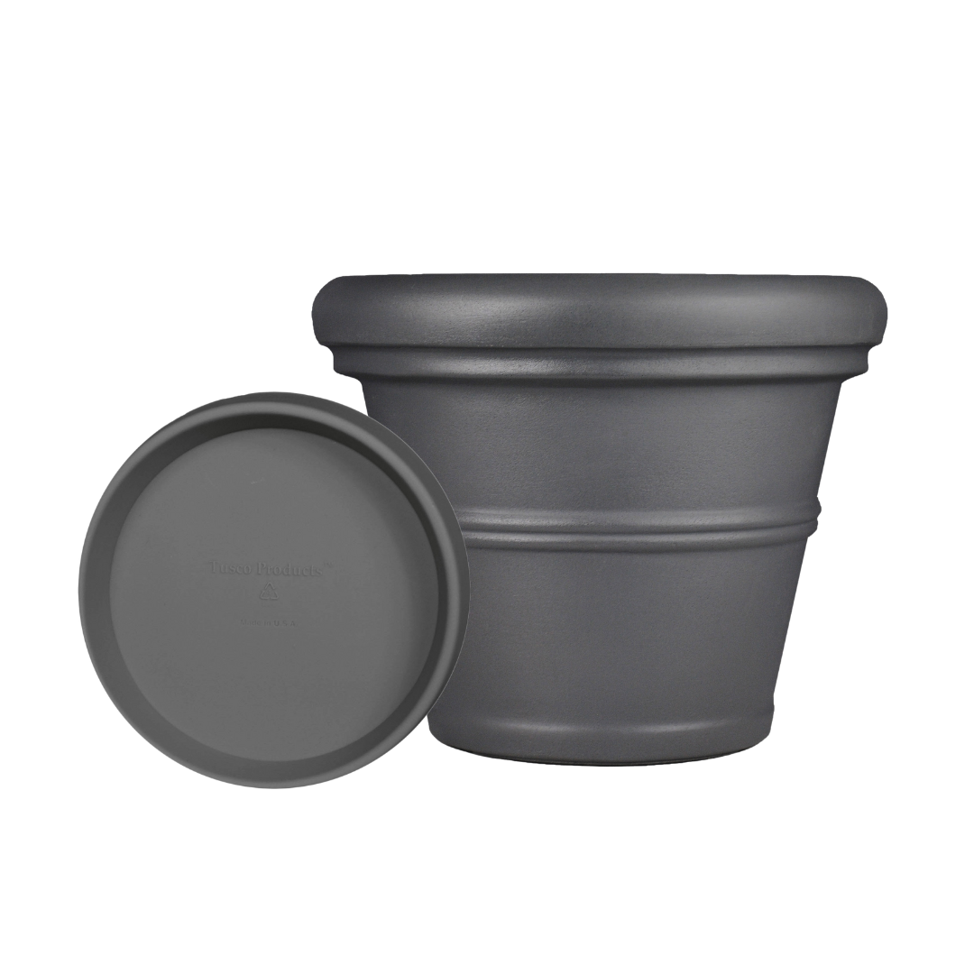 Rolled Rim Container 24.5