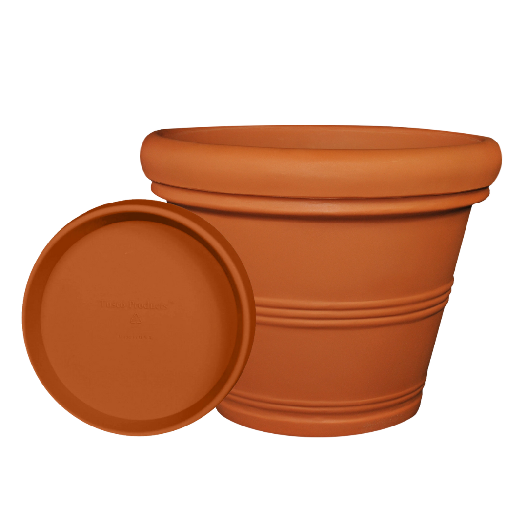 24.5&quot; Rolled Rim and Tray